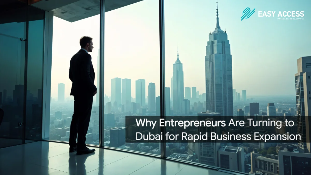 Dubai Business Opportunities