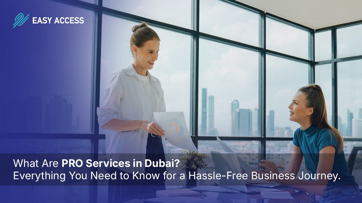 PRO services in Dubai handling business documents and government approvals
