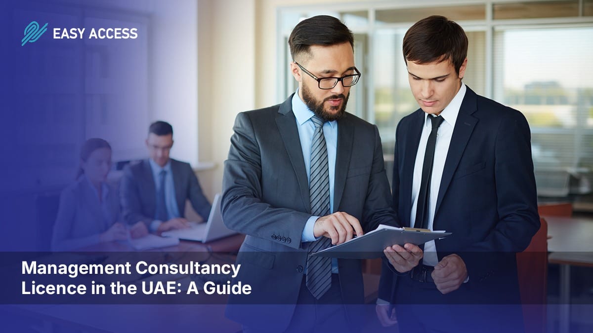 Management consultancy licence in the UAE for business advisory services