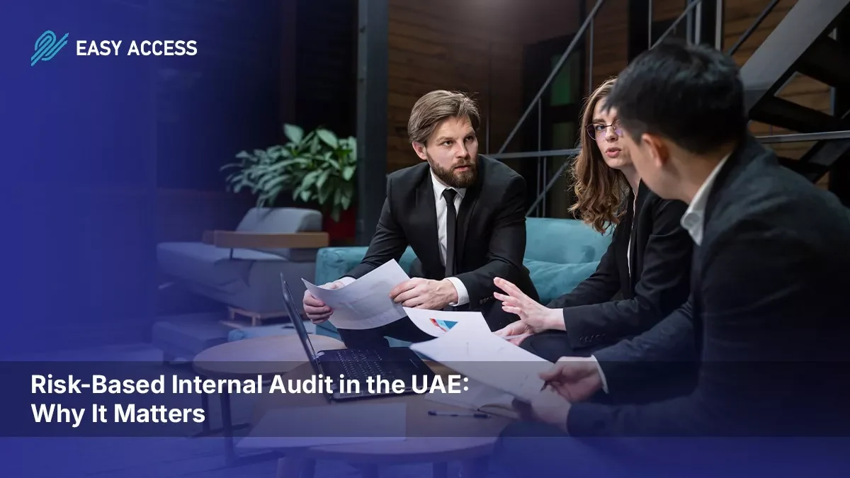 Risk-based internal audit in the UAE for business compliance and control review